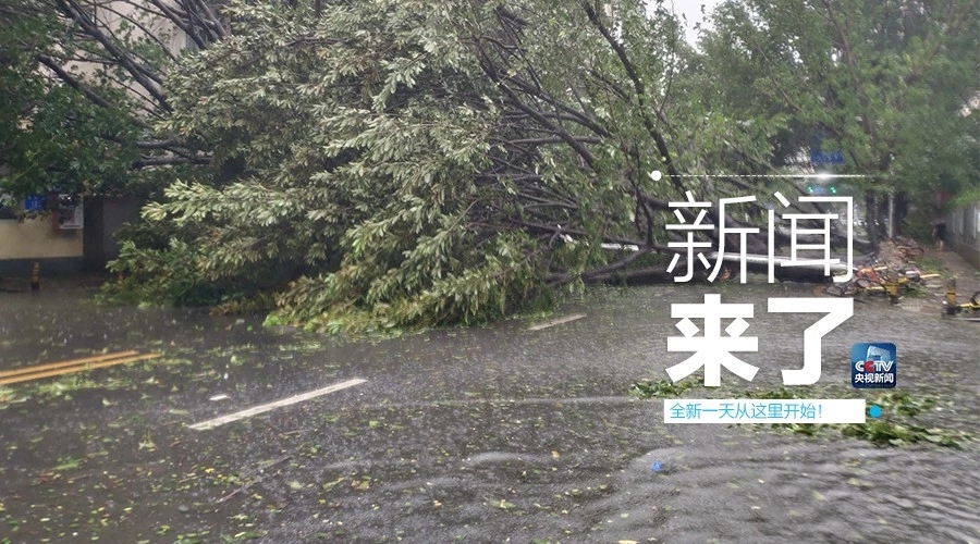 “山竹”怒過，高空塔吊你還好嗎？